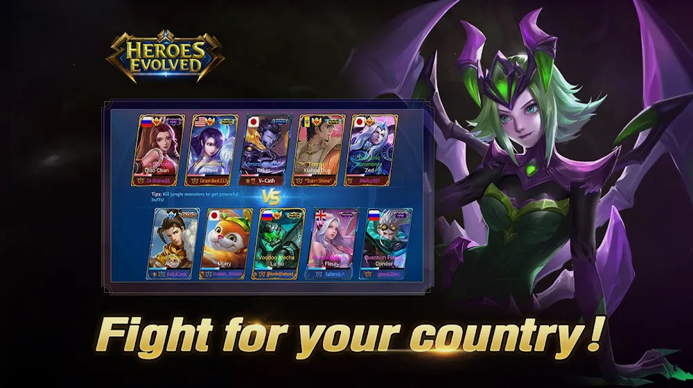 Heroes Evolved Fight