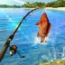 Fishing Clash APK v1.0.274 (MOD, Big Combo)